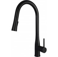 Kitchen faucet with pull-out spout