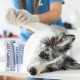 JM SANTE Polisept Vet Wound gel Silver Pro - gel dressing for dogs and cats – 30 ml