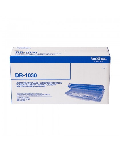 Brother DR-1030 printer drum Original 1 pc(s)