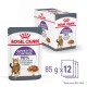 ROYAL CANIN Appetit Control pieces in sauce - wet cat food - 12 x 85g