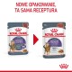 ROYAL CANIN Appetit Control pieces in sauce - wet cat food - 12 x 85g