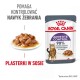 ROYAL CANIN Appetit Control pieces in sauce - wet cat food - 12 x 85g