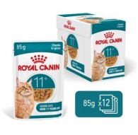 ROYAL CANIN Ageing 11+ Chunks in gravy - wet cat food - 12x85g