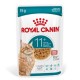 ROYAL CANIN Ageing 11+ Chunks in gravy - wet cat food - 12x85g