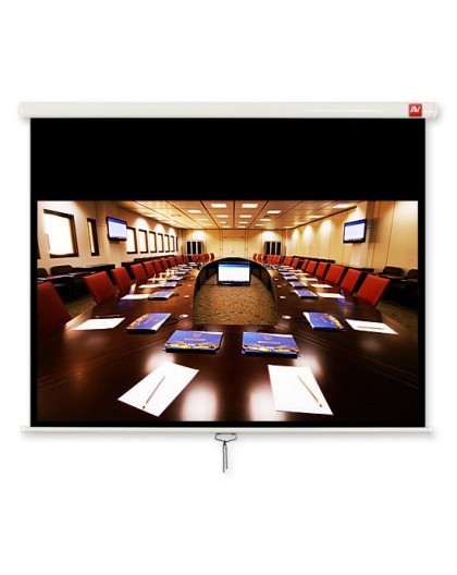 Avtek Cinema 280 projection screen 16:9 122"