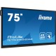 iiyama 75" Interactive 4K UHD Touchscreen elevating interactive collaboration