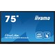 iiyama 75" Interactive 4K UHD Touchscreen elevating interactive collaboration