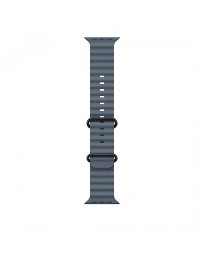 Apple Titanium Finish Band Blue Fluoroelastomer, Titanium