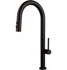 Kitchen faucet with pull-out spout - 2 types of spray