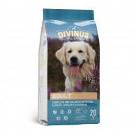 DIVINUS Adult - dry dog food - 20 kg
