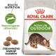 Royal Canin Outdoor dry cat food 2 kg