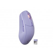 Steelseries 62525 mouse Gaming Right-hand RF Wireless + Bluetooth Optical 18000 DPI