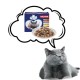 PREVITAL Cat Food Megabox with Lamb, Beef, Rabbit, and Chicken in Gravy - Wet Cat Food - 24 x 100g