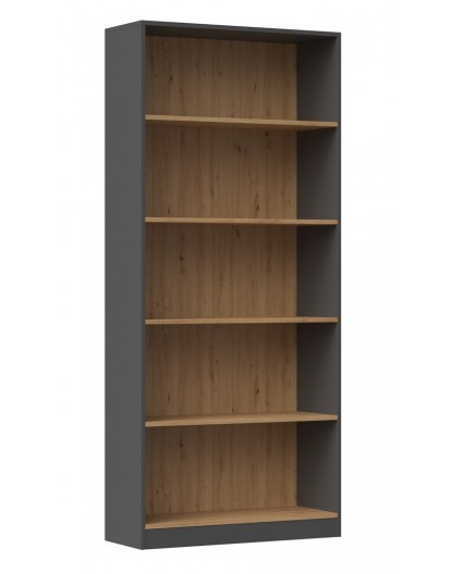 Topeshop R80 ANT/ART office bookcase
