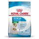 Royal Canin Mini Starter Mother & Babydog Adult Poultry 1 kg