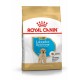 ROYAL CANIN SHN Breed Labrador Junior dry dog food - 12 kg