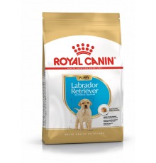 ROYAL CANIN SHN Breed Labrador Junior dry dog food - 12 kg