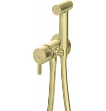 Concealed bidet mixer with bidetta shower head