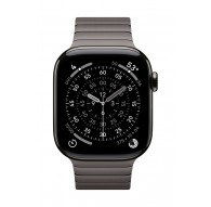 Apple 42mm Slate Link Bracelet