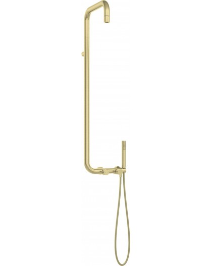 Shower head with shower mixer