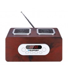 Blaupunkt PP5BR radio Portable Wood