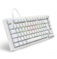 Sharkoon SGK25 keyboard Home USB QWERTZ German White