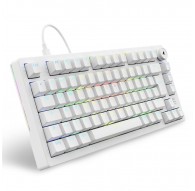 Sharkoon SGK25 keyboard Home USB QWERTZ German White
