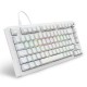 Sharkoon SGK25 keyboard Home USB QWERTZ German White
