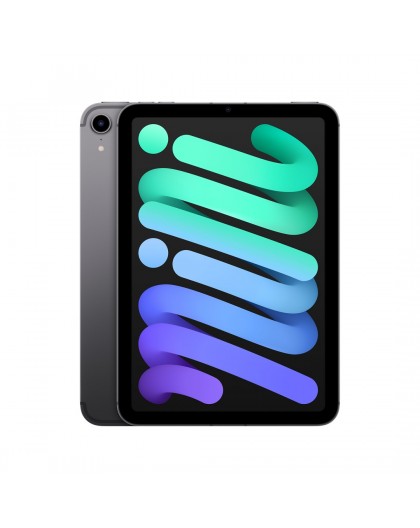 Apple iPad mini Wi-Fi + Cellular 256GB Space Gray (2021)