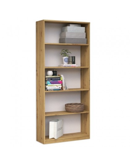 Topeshop R60 ARTISAN office bookcase