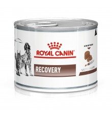 ROYAL CANIN Recovery - Wet dog and cat food - 195g