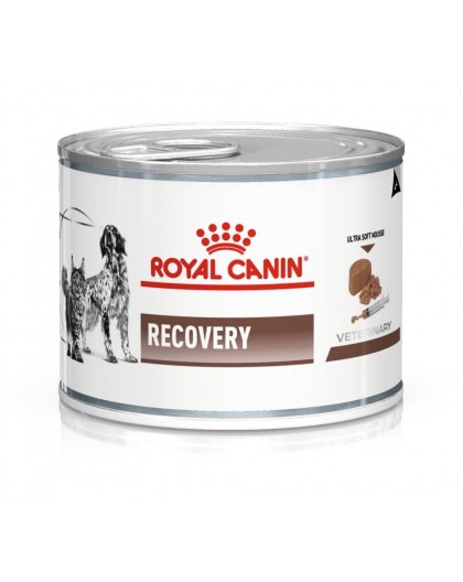 ROYAL CANIN Recovery - Wet dog and cat food - 195g