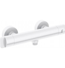 Thermostatic shower faucet