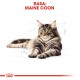 ROYAL CANIN FBN Maine Coon Adult dry cat food - 10kg