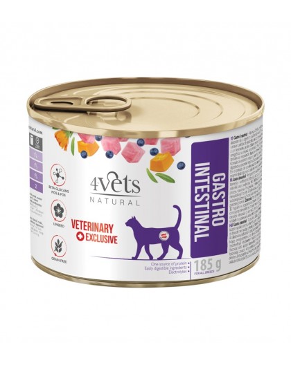 4VETS Natural Gastro Intestinal Cat - wet cat food - 185 g