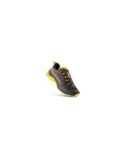Shoes Jackal II Gtx / Yellow
