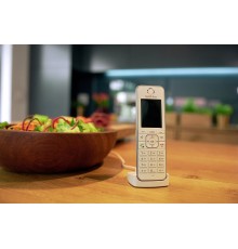 FRITZ!Fon C6 DECT telephone Caller ID White
