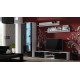 Cama display cabinet SOHO S6 2D2S white/black gloss
