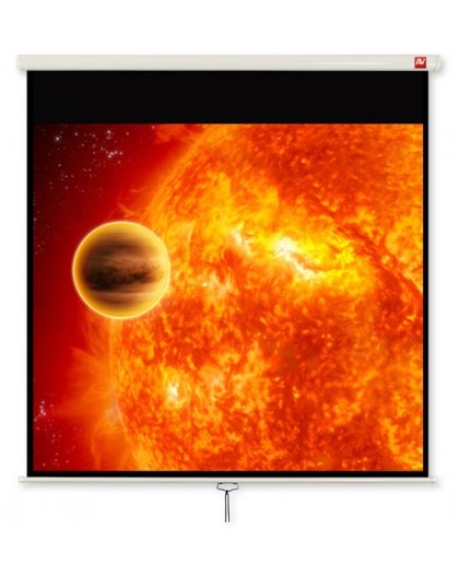 Avtek Video 280 projection screen 4:3