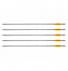 Poe Lang 28’ fibreglass arrows - set of 5 (D-055-B3)