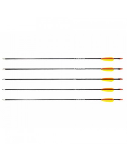 Poe Lang 28’ fibreglass arrows - set of 5 (D-055-B3)