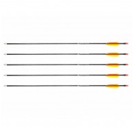 Poe Lang 28’ fibreglass arrows - set of 5 (D-055-B3)