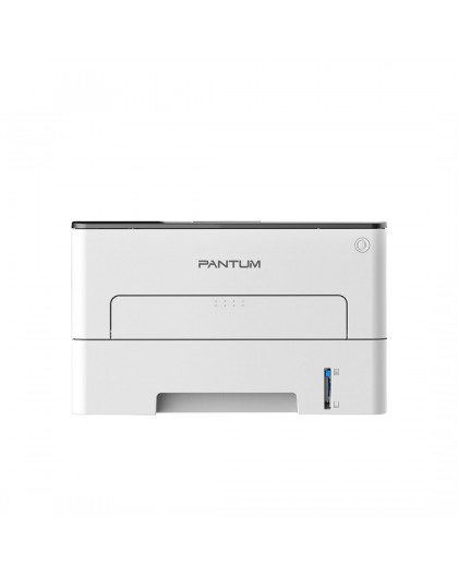 Pantum P3020D laser printer A4