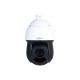 Dahua Technology WizSense SD49216DB-HNY Dome IP security camera Indoor & outdoor 1920 x 1080 pixels Ceiling/wall