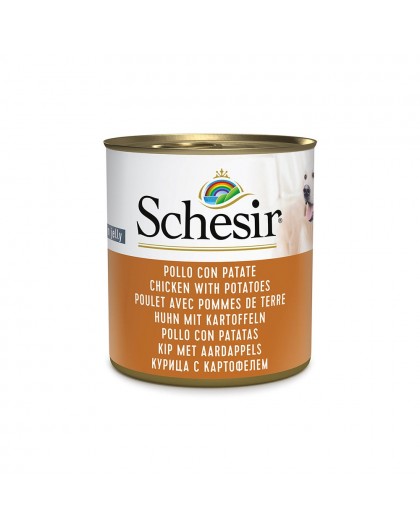 SCHESIR Chicken with potatoes in jelly - wet dog food - 285g