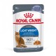 ROYAL CANIN FCN Light Weight Care in jelly - wet food for adult cats - 12x85g