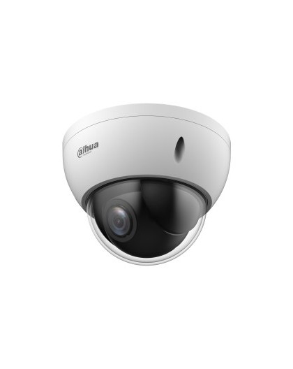 Dahua Technology WizSense SD22204DB-GNY Dome IP security camera Indoor & outdoor 1920 x 1080 pixels Ceiling