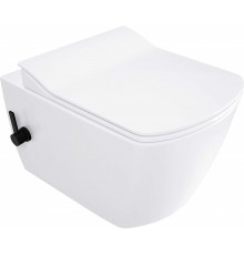WC Bowl with Bidet Function