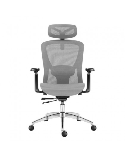 Expert 5.3 Grey Mesh Swivel Chair
