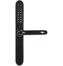 Handle with Access Control EURA ELH-30H4 Black